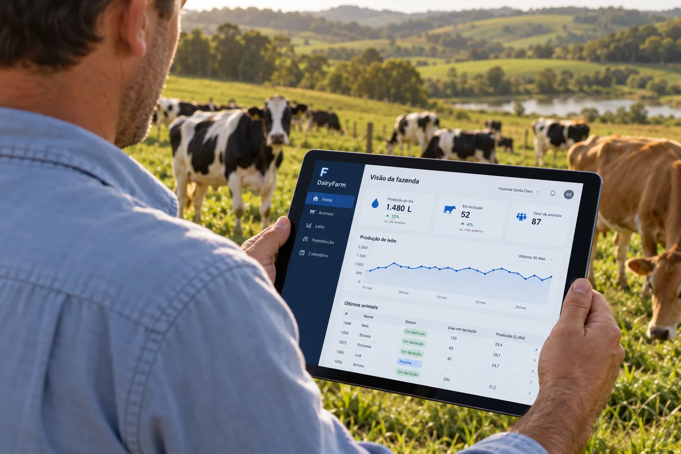 Produtor visto de costas acompanha indicadores do Dairy Farm em um tablet, diante do rebanho no pasto